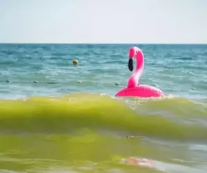 Ce s-a întâmplat cu o fetiță de 10 ani care a plutit pe o saltea din Vama Veche până în Bulgaria. Detaliul care i-a surprins pe toți...Ce a făcut unchiul ei