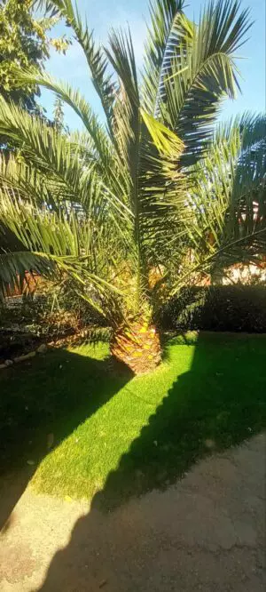 eb955510-37fe-490c-ad2a-09069f606a2c-1-300x666-1