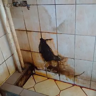 spitalul de psihiatrie din gura vaii 3