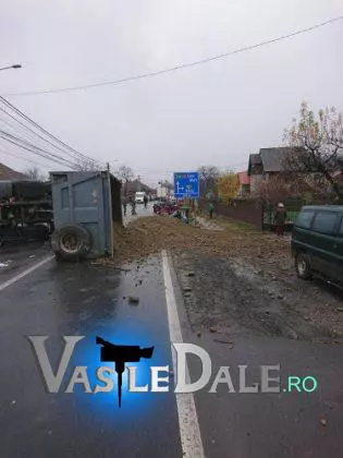 23772164_1733222836723968_1394040209_n-315x420