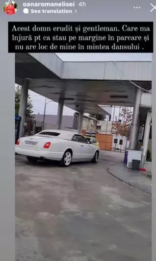 oana-roman-injurata-de-dan-nicorescu-1