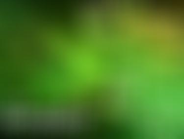 Urania Previziuni Astrale Zodia Vărsător Perioada 25 31 Ianuarie 2020 Libertatea