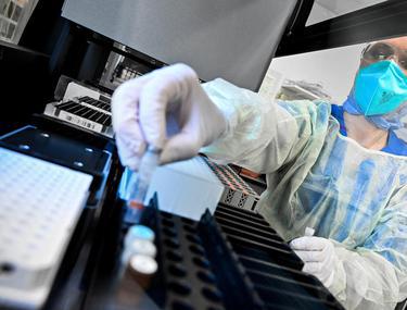 Update Coronavirus La Garda De Mediu BraÈ™ov Angajatul Confirmat A Refuzat Internarea Alte Cinci Persoane In Izolare Libertatea Libertatea