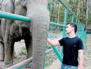 Doliu La Zoo Stiri Libertatea Libertatea