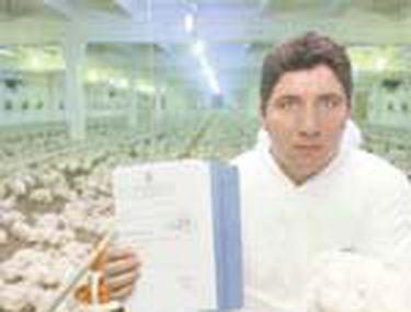 Primul Roman Bagat In Arest Pentru Gripa Aviara Stiri Libertatea Libertatea