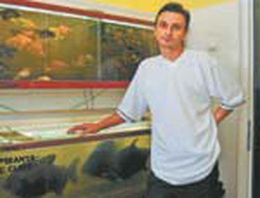 Creste Pesti Piranha In Bucatarie Stiri Libertatea Libertatea