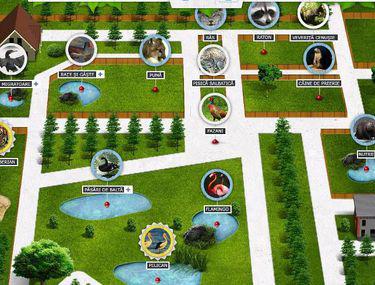 Grădina Zoologică Din Bucuresti Are Hartă Interactivă Stiri