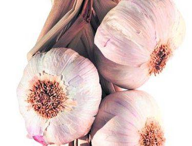 Cum Sa Vindeci Hemoroizii Cu Usturoi Remedii Naturale Eficiente