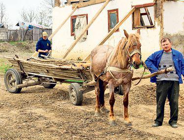 Proces De Modernizare La O Primărie Din Botosani Au Vandut Calul