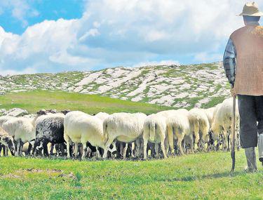 Lovitură Pentru Proprietarii De Terenuri Agricole Stiri Libertatea Libertatea