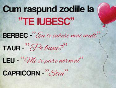 Cum Răspund Zodiile La Te Iubesc Lifestyle Libertatea Libertatea