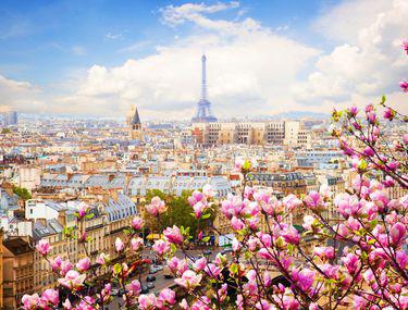 P Cele Mai Romantice Orașe Din Franța Paris Reims și Strasbourg Stiri Libertatea Libertatea