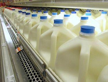 Parlamentul Vrea Reguli Mai Stricte Privind Etichetarea Laptelui Eticheta Produse Lactate Procesate Ascunde Grăsimi Vegetale și Inlocuitori Libertatea