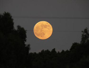 Eclipsă Totală De Lună Pe 21 Ianuarie 2019 Vizibilă De Pe Trei