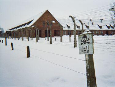 Poveste De La Auschwitz S A Măritat Cu Cel Care Ii Tatuase Numărul Obligatoriu Libertatea