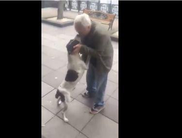 Momentul Emoționant In Care Un Bărbat și A Reintalnit Cainele La 3