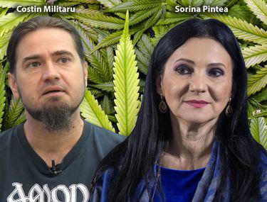 Exclusiv De Ce Se Grăbește Guvernul Dăncilă Să Legalizeze Canabisul Medicinal Participanții Secreți De La Discuții Libertatea