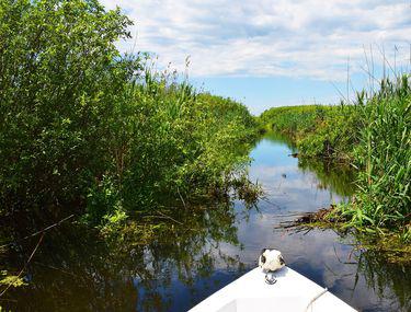 Două Bărci Pline Cu Turiști S Au Ciocnit In Delta Dunării Stiri