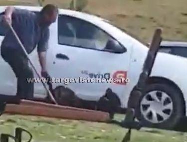 Video Imagini șocante La Padina Un Cioban și A Maltratat Cainele De Față Cu Turiștii Stiri știri Romania Libertatea Libertatea