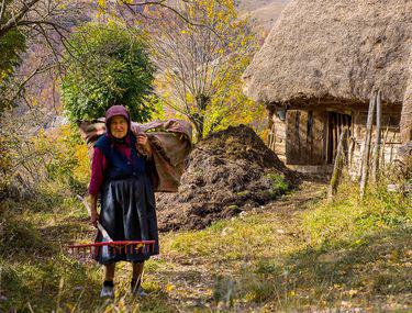 Romania Secolului Xxi O ţară Rurală Nu Agricolă Libertatea