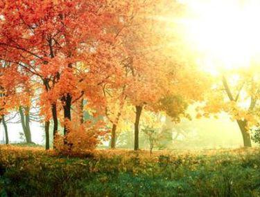 Vremea In Perioada 11 24 Noiembrie 2019 Prognoza Meteo In Romania Libertatea