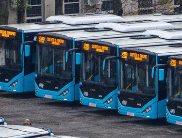 Copiii Si Transportul Public Sau Despre Autobuzul Scolii Opinii Libertatea Libertatea