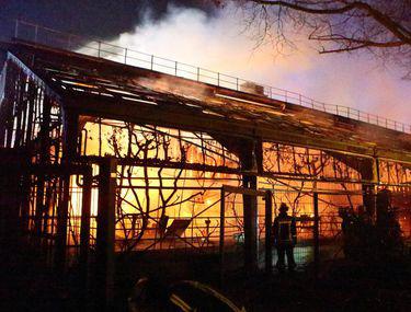Incendiu La O Grădină Zoologică Din Germania In Noaptea De