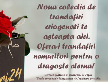 Publicitate Astazi E Ziua Ta Zi Frumoasa Ca Tine Libertatea
