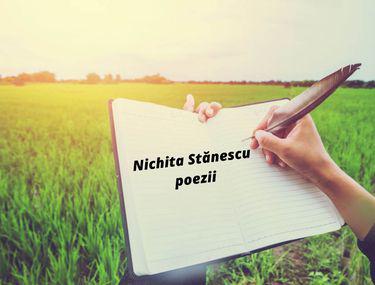 Nichita Stănescu Poezii Versuri Emoționante Scrise De Nichita Stănescu Libertatea