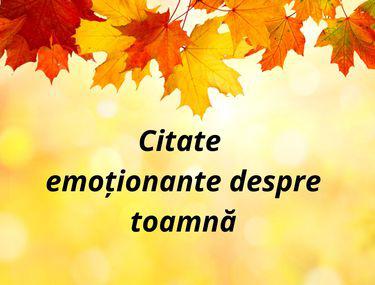 Citate Despre Toamnă Versuri Frumoase și Emoționante Libertatea