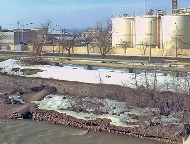 DupÄƒ Accidentul Ecologic Din Anul 2000 Noi Le Am PlÄƒtit Ungurilor 100 De Milioane Libertatea