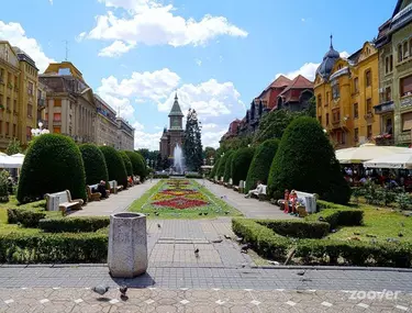 Rezultatele Alegerilor Parlamentare 2016 In JudeÈ›ul TimiÈ™ Cine A CaÈ™tigat Alegerile In TimiÈ™ Libertatea