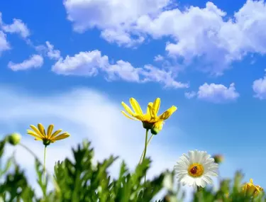 Prognoza Meteo In Perioada 6 19 Aprilie Libertatea