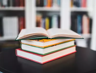 RomanÈ›a DefiniÈ›ie Tipuri È™i Caracteristici RomanÈ›e Din Literatura RomanÄƒ Libertatea