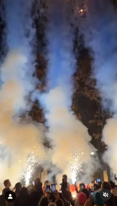 theo-rose-si-anghel-damian-vor-avea-un-baietel-4