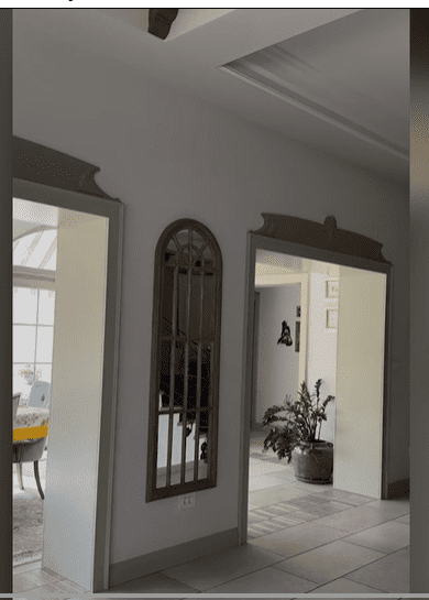 Olguta berbec casa sat natal