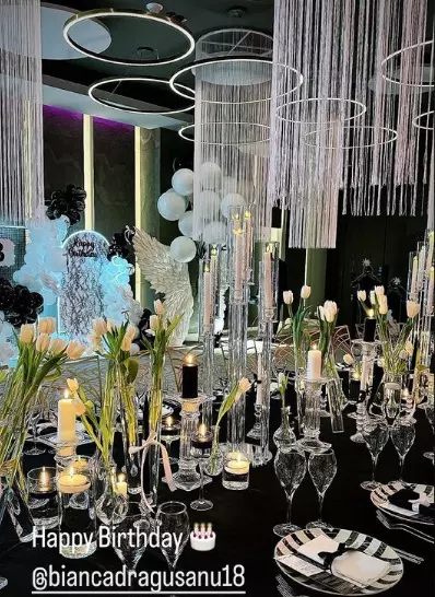bianca-dragusanu-petrecere-13