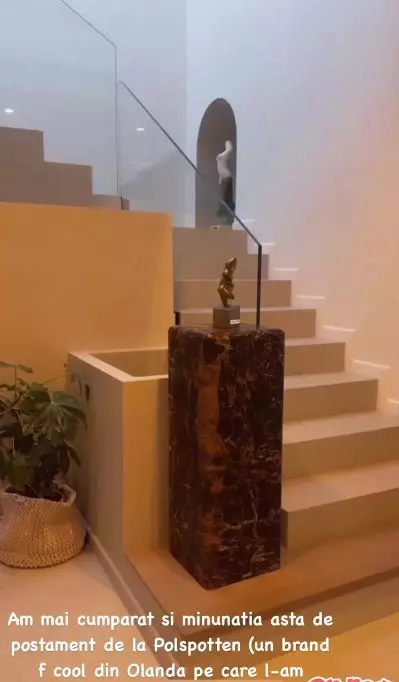 Alina Pușcaș - imagini casă (4)