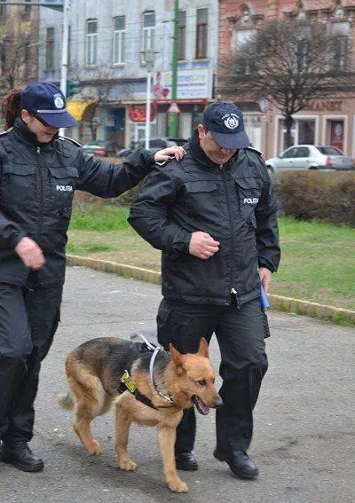 7BC5D37B-C1BC-468E-A43A-E5062CA1A3E1