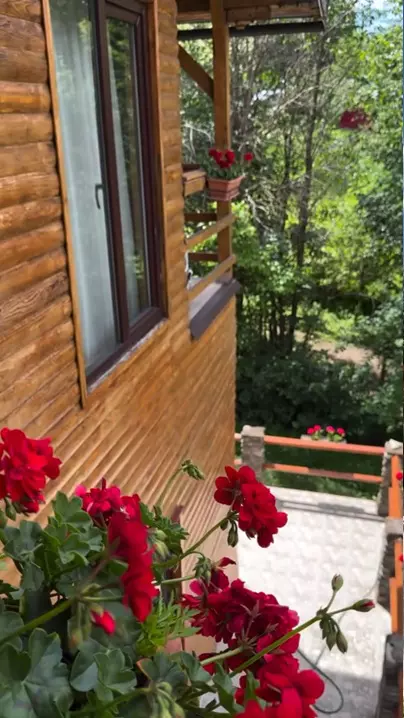 andreea marin casa tara telega prahova (3)