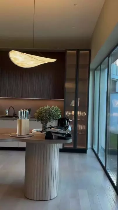 imagini casă Alina Pușcaș (15)