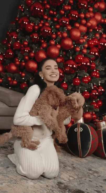 Screenshot 2024-11-29 140915