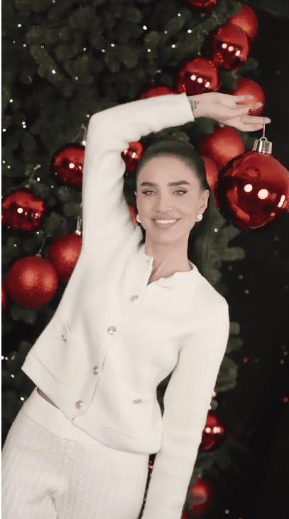 Screenshot 2024-11-29 140852