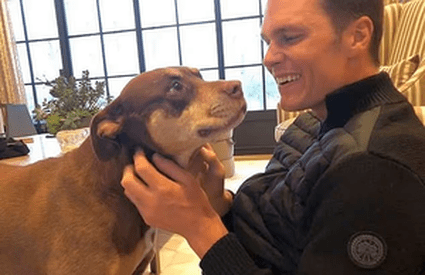 Și-a clonat câinele! Tom Brady a dezvăluit cât l-a costat procedura și unde se află clinica