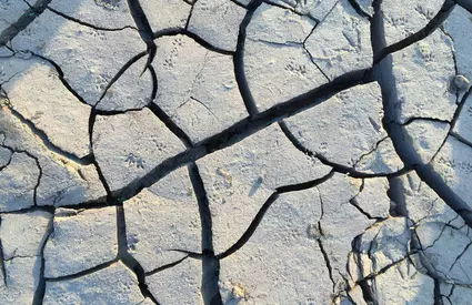 România s-a zguduit astăzi! Ce magnitudine a înregistrat cutremurul și unde a avut loc