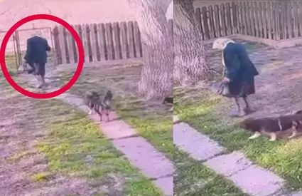 O bătrână de 94 de ani din Botoșani a supraviețuit 3 zile într-o pădure, în condiții vitrege. Cine a protejat-o în tot acest timp