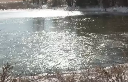 Trei frați de 6, 8 și 9 ani au murit sub ochii mamei lor după ce au căzut într-un lac în... Vezi mai mult