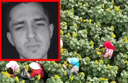 Român de 19 ani, MORT după ce a cules r... Vezi mai mult