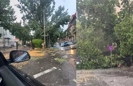 Un bărbat și-a pierdut viața în Ilfov, în urma furtunii de marți seară. Un copac a căzut peste mașina în care se afla