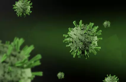 Numărul cazurilor de hantavirus crește alarmant! Ce spun specialiștii Organizaţiei Mondiale a Sănătăţii
